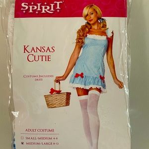 Dorthy costume. Kansas cutie Halloween costume. Sexy costume dress up.
